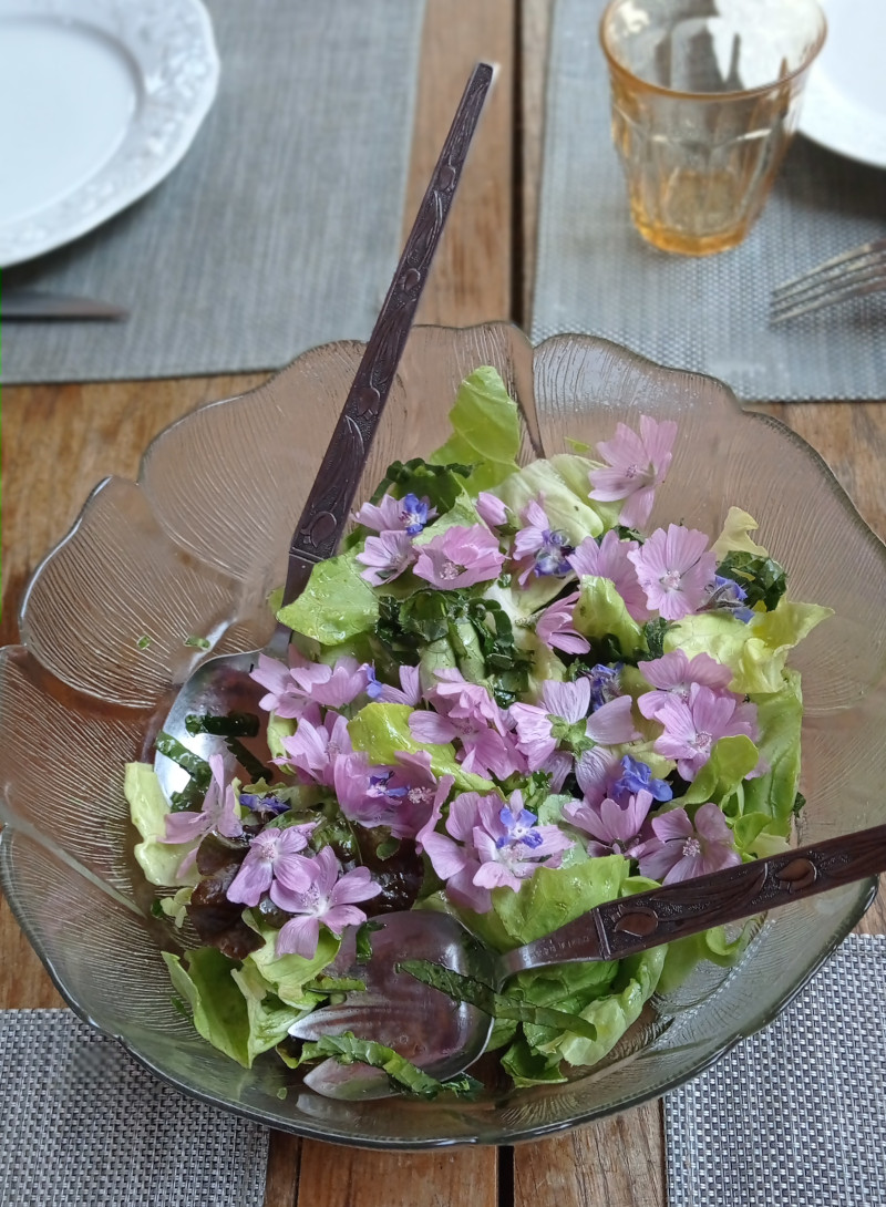 salade mauve